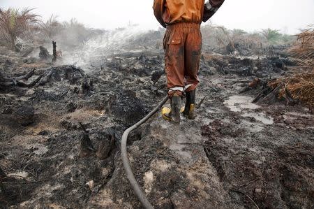 A firefighter from the local disaster management agency tries to extinguish a peatland fire in a palm oil plantation in Pelalawan, Riau province on the Indonesian island of Sumatra September 26, 2015 in this photo taken by Antara Foto. FB Anggoro/Antara Foto/File Photo via REUTERS