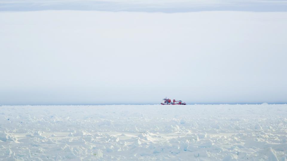 The Xue Long (Snow Dragon) Chinese icebreaker sits in the ice pack unable to get through to the MV Akademik Shokalskiy in Antarctica