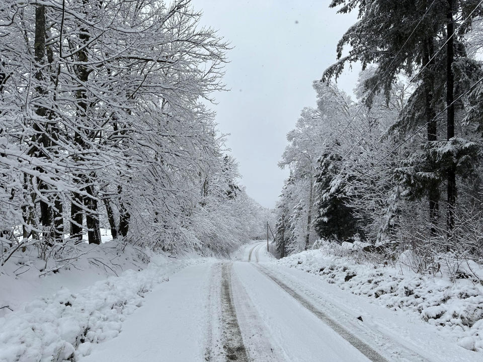 Snow falls on a back road in Marshfield, Vt., Monday, Dec. 11, 2023. (AP Photo/Lisa Rathke)