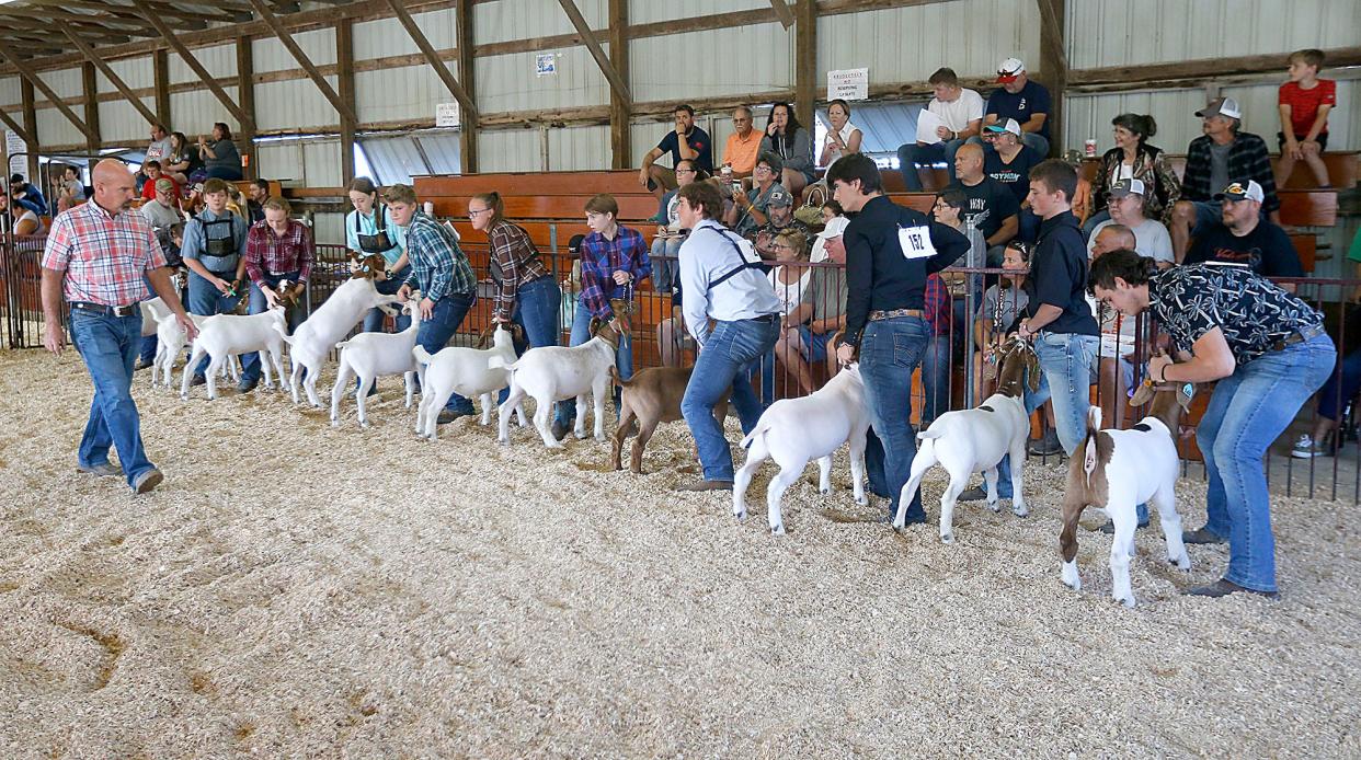 Junior Fair exhibitors show their animals during the dairy/meat goat show at the Ashland County Fair on Wednesday, Sept. 21, 2022.