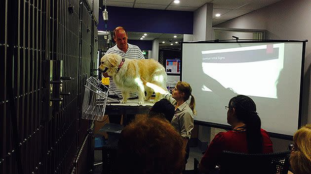 Dr Kirsty Fridemanis at Wednesday night's pet first aid course.