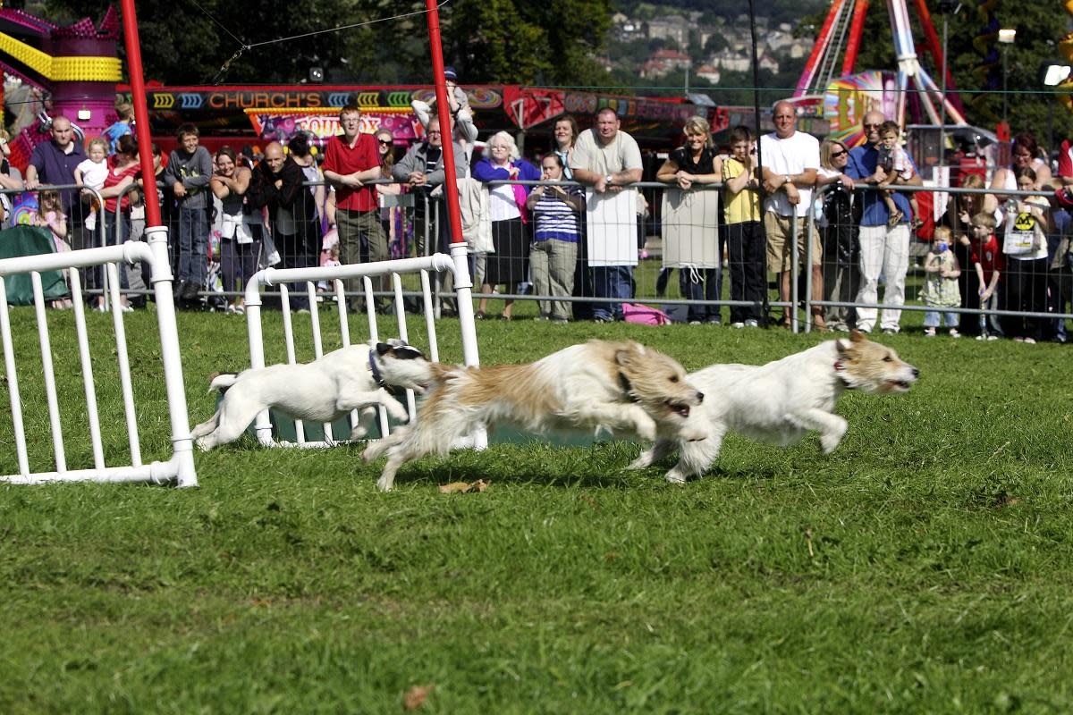 Dog racing at Keighley Mayor's Carnival in 2007 <i>(Image: T&A)</i>