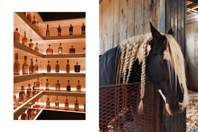 <p>Ashley Camper</p> From left: Bourbon bottles at the Frazier History Museum, in Louisville, Kentucky; a horse at Hermitage Farm, in Goshen.