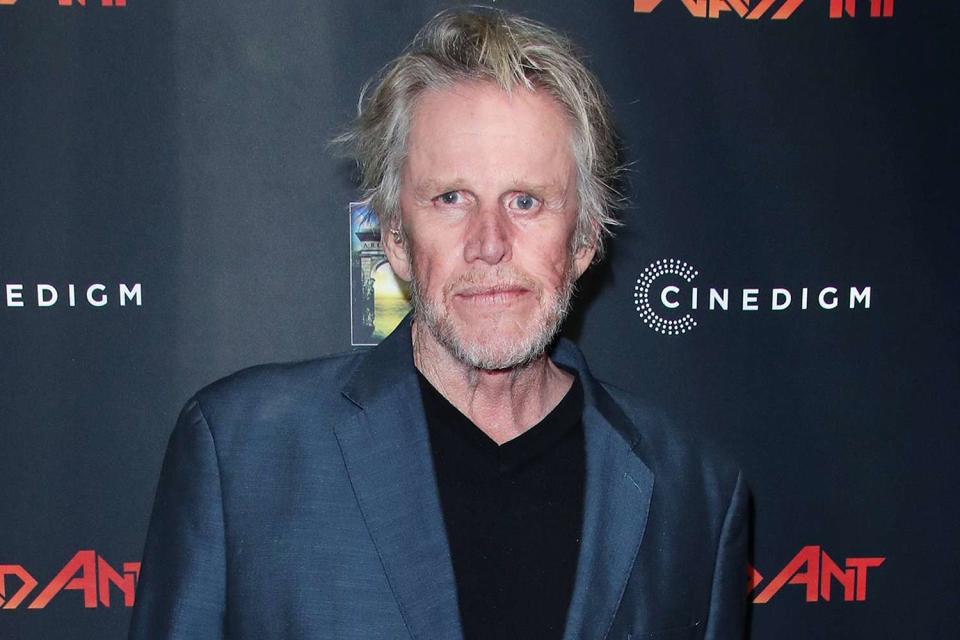 <p>Matt Baron/Shutterstock</p> Gary Busey