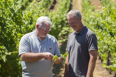 Checking progress of the winegrapes are vineyard manager Mark Houser (left) and winemaker Kevin Hall at Alexander Valley Vineyards in Sonoma County, California.