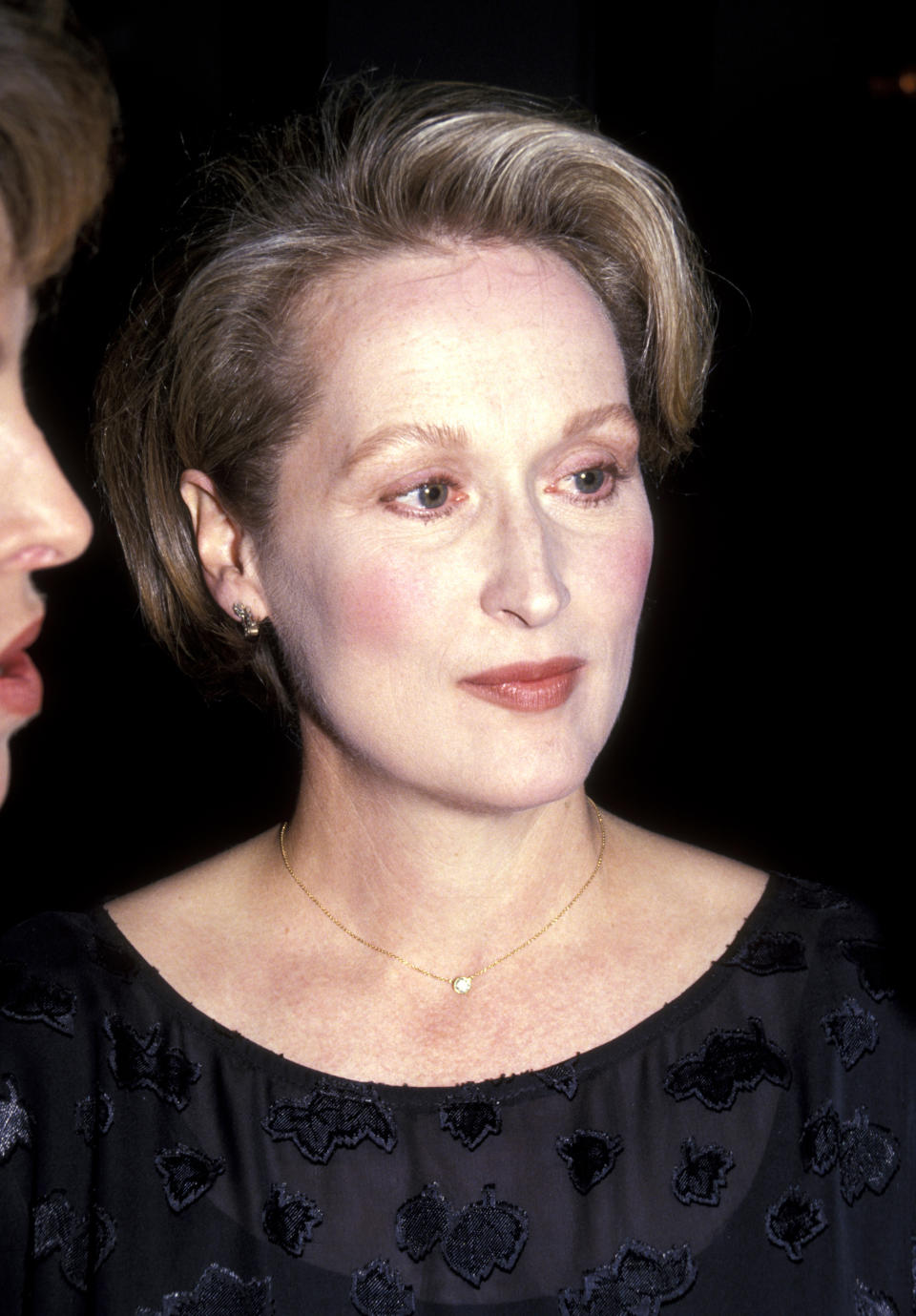 Watch Meryl Streep Slowly Change Each Year In One Delightful Picture After Another