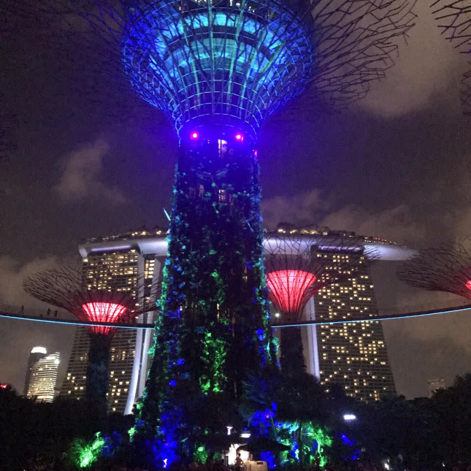 The Garden by the Bay’s light show ‘Garden Rhapsody’ brings music to life through colour and special effects. Source: Matthew Kelly