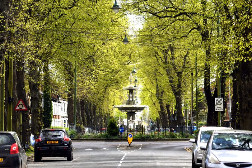 Boulevard features a canopy of trees and a fountain in its centre