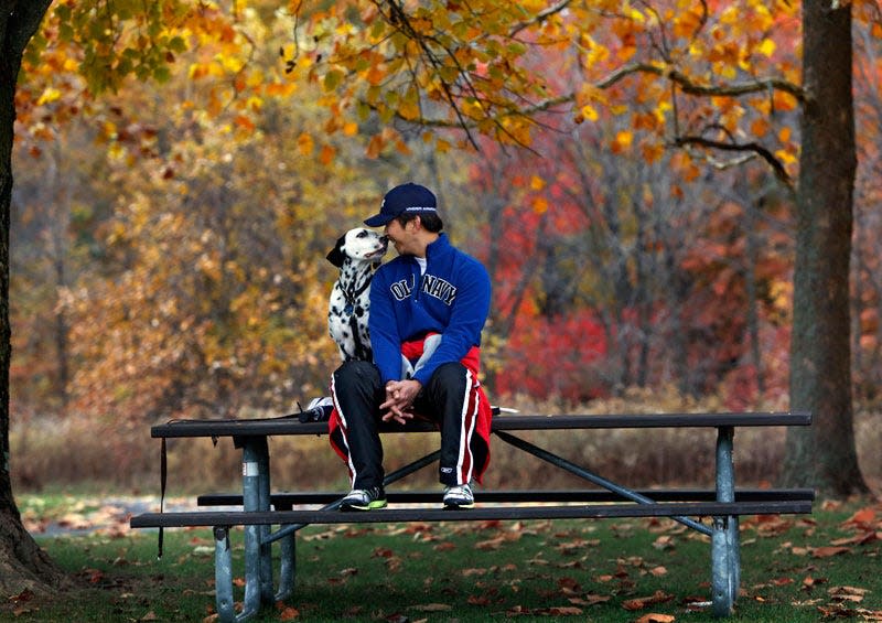 Hikers can bring their furry friends along a 2-mile route for a National Dog Day hike at Blacklick Woods Metro Park.