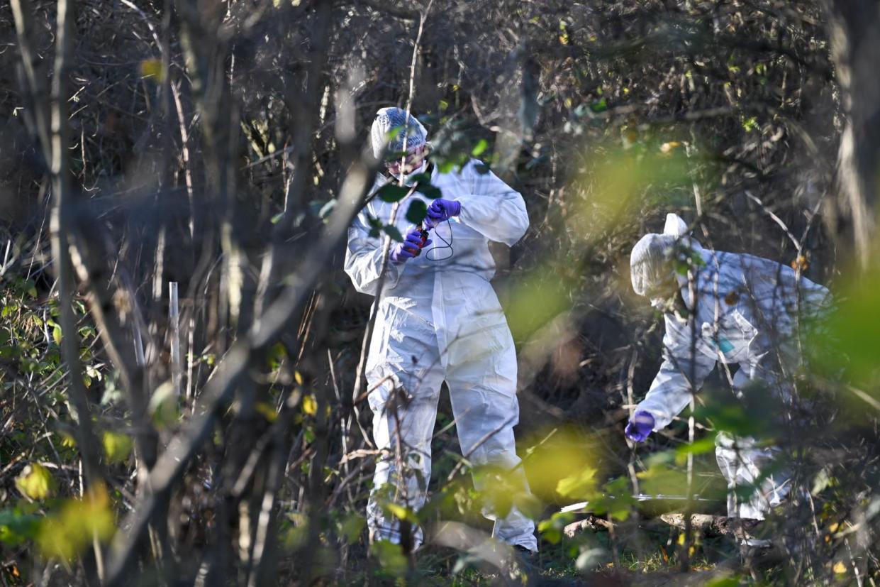 ***REACH SITES MAY HAVE TO PAY - PLEASE CHECK******

A police cordon is in place after reports that 'human remains' were found close to the train line near Brackley Park in Hull.
The British Transport Police were called out to the area on Wednesday, December 6 at around 6pm, after the discovery was made. A cordon is still in place at the scene while officers work to search the area further and establish the circumstances behind the tragedy.