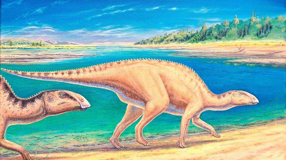 A yellow bipedal dinosaur with a duck-billed mouth walks on a beach in an artist's recreation