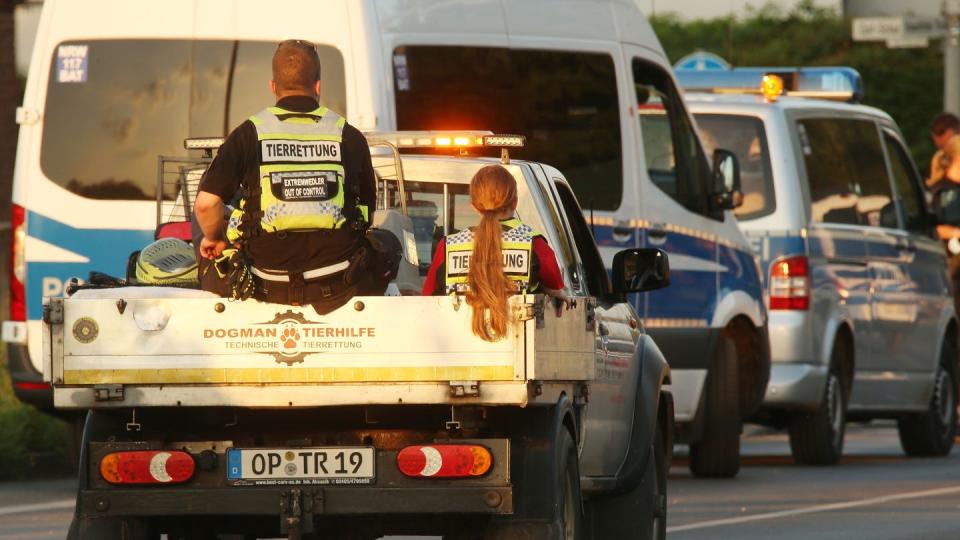 Ein Fahrzeug mit Tierrettern und Tieren verlässt Erftstadt in Nordrhein-Westfalen. Nach der Flutkatastrophe werden viele Tiere ins Tierheim gebracht.