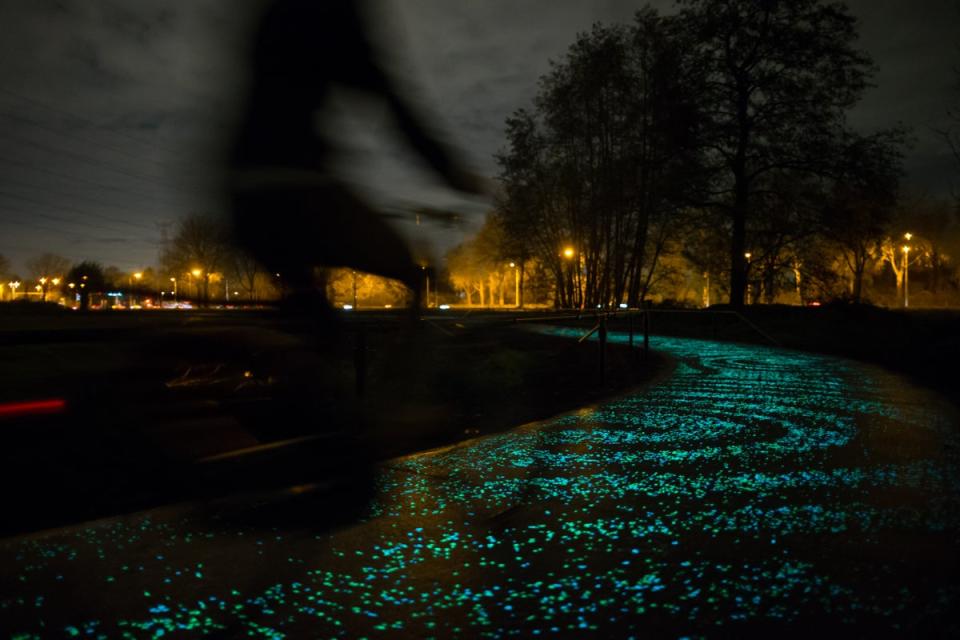 The twinkling Van Gogh-Roosegaarde cycle path (Van Gogh Roosegaarde Fietspad/Pim Hendriksen)