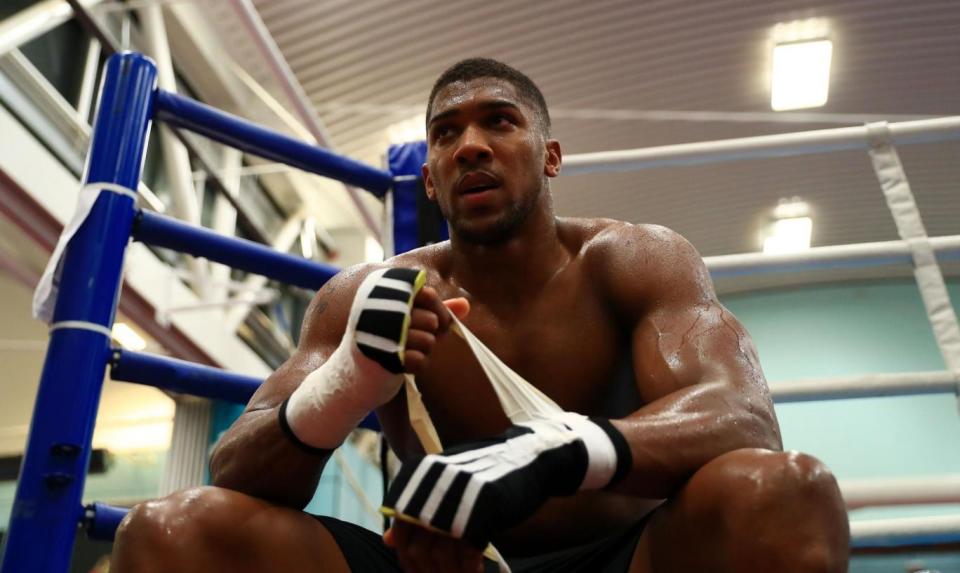Different ball game: Joshua says Takam will pose a different threat to Klitschko (Tim Goode/PA)