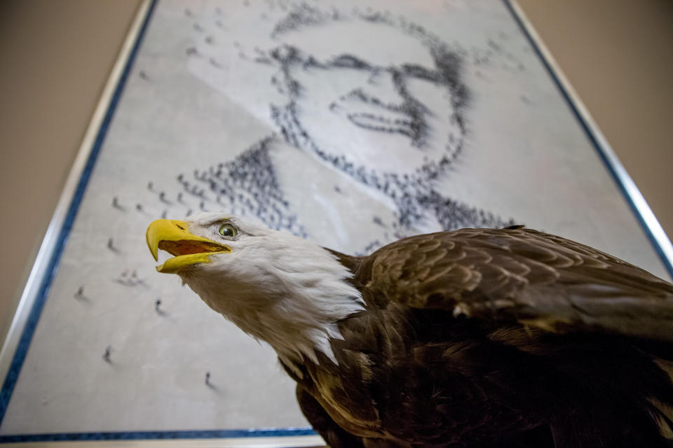 A large abstract painting of Senate Minority Leader Harry Reid of Nevada is visible on a wall next to a stuffed eagle in his office on Capitol Hill in Washington on March 27, 2015. Reid recently announced he will not seek re-election to another term. 