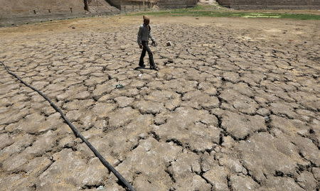 A man walks through a dried-up Sarkhej lake on a hot summer day in Ahmedabad, India, April 21, 2016. REUTERS/Amit Dave