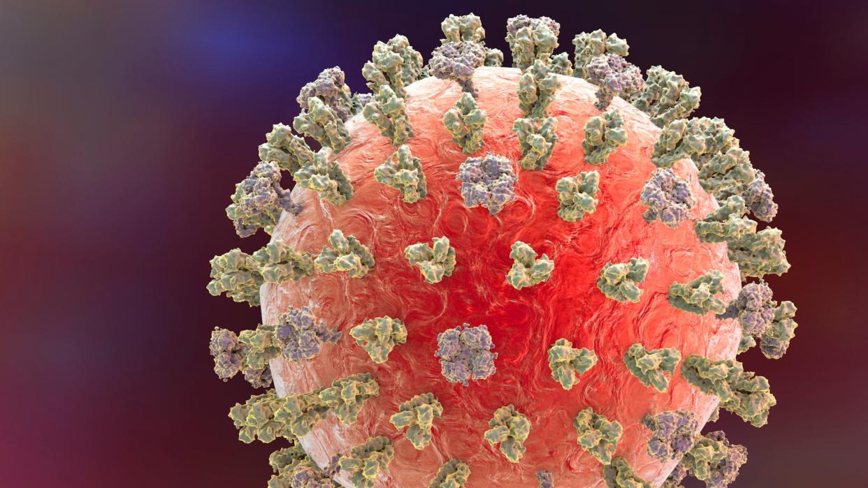  close up illustration of the surface of an influenza virus 