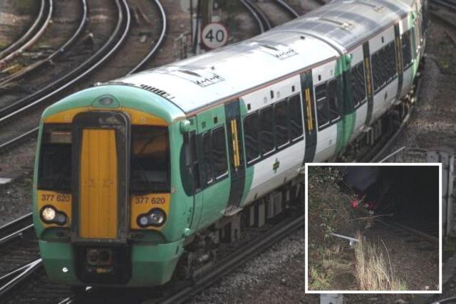 Brighton: Railway line to Lewes blocked due to fallen tree