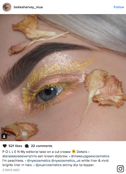 Makeup artists have been gluing fresh and dried flower to their faces for the latest floral eye makeup trend blowing up Instagram.