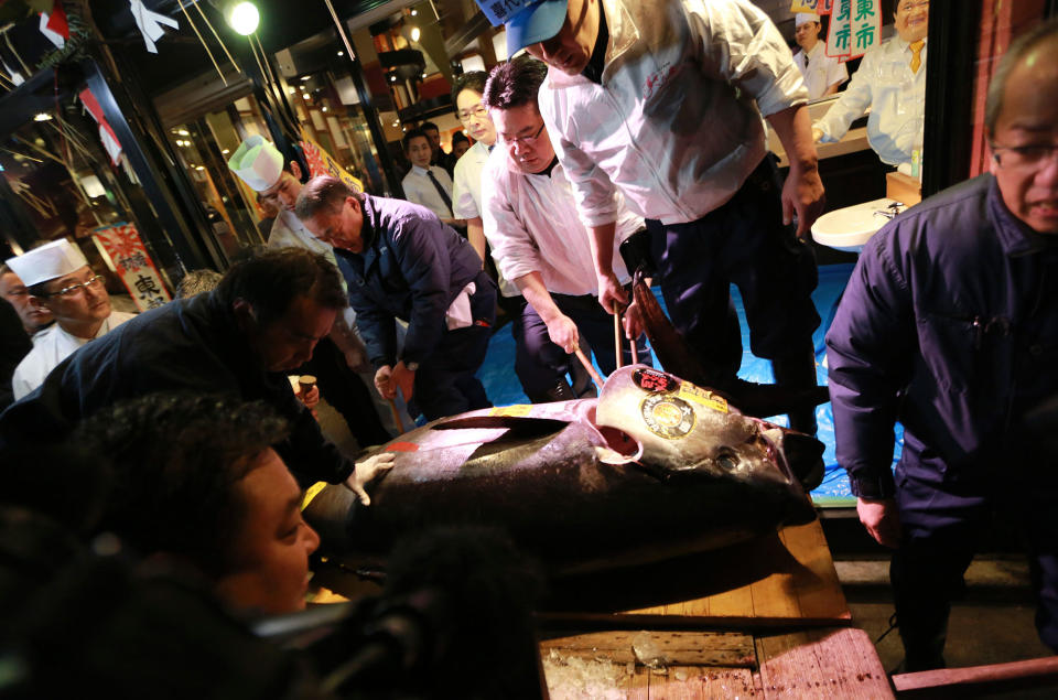 Bidding for tuna at Tsukiji