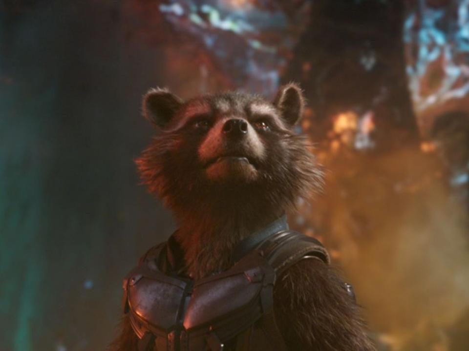 Rocket Raccoon was in the ‘final shot’ James Gunn captured for ‘Guardians of the Galaxy Vol 3’ (Marvel Studios/Kobal/Shutterstock)