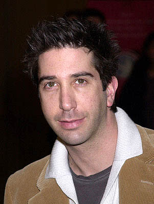 David Schwimmer at the Hollywood premiere for The Dancer Upstairs