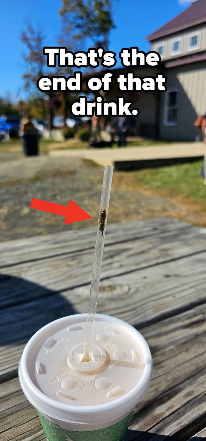 a wasp in someone's straw
