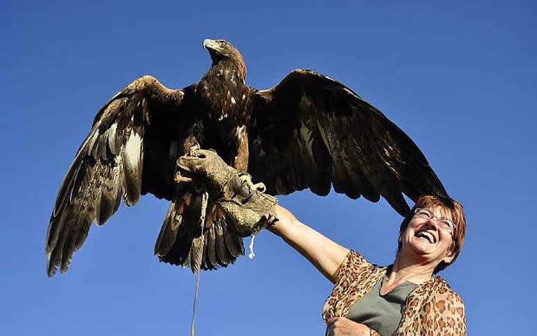 Tour operators can offer activities such as bird of prey encounters that would be difficult to organise alone