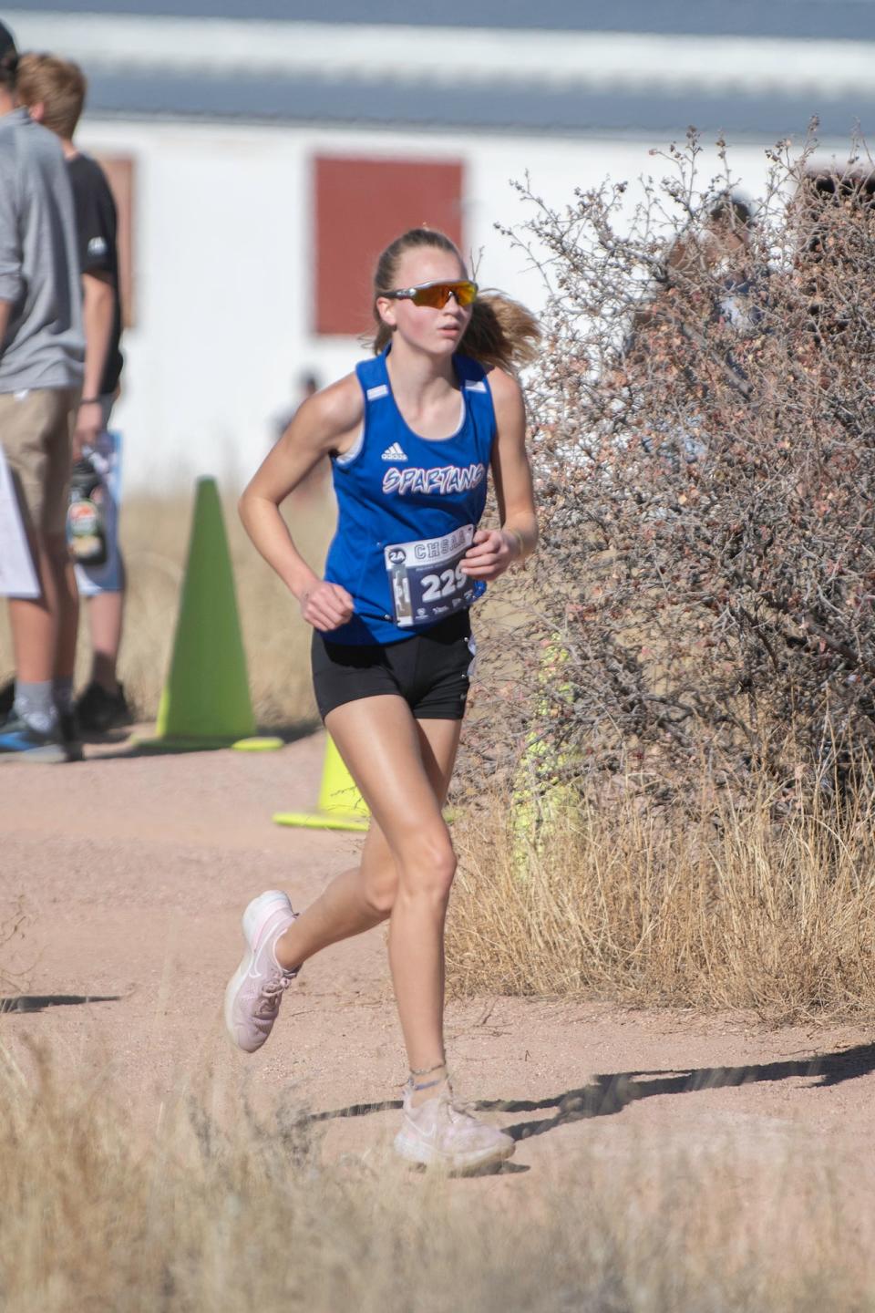 Pueblo cross country runners well represented at Cross Country State Finals