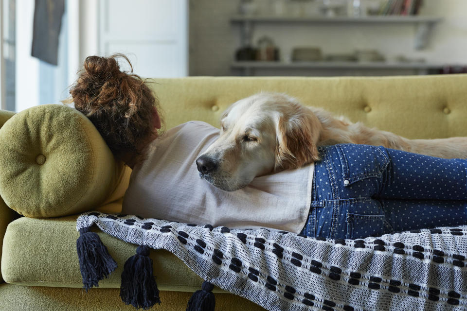 Frau liegt auf der Couch, Hund lehnt sich mit seinem Kopf an der Frau an