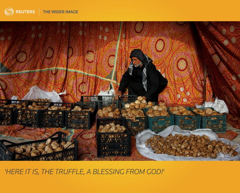 The Wider Image: 'Here it is, the truffle, a blessing from God!'