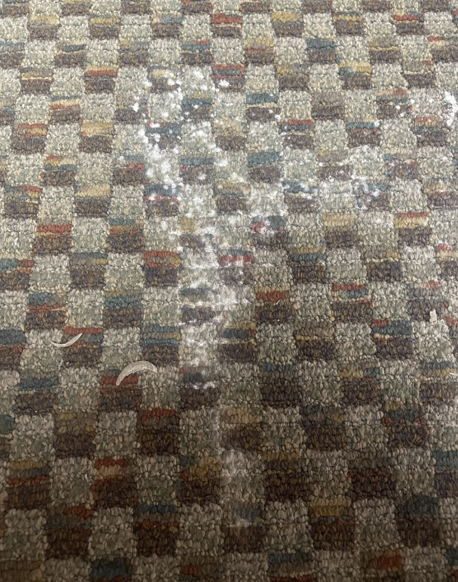 Close-up of a checkered patterned carpet with a noticeable stain and a few nail clippings scattered on it