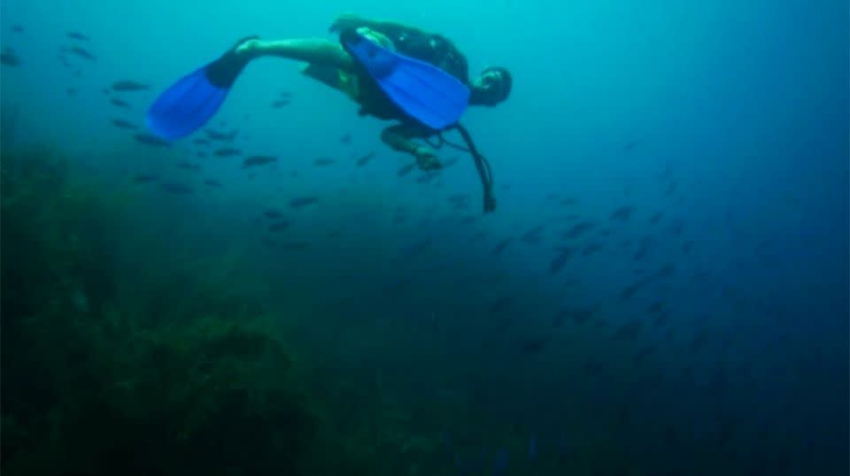 The keen traveller stopped off in the Caribbean in 2012 to pick up his advanced dive certificate. Source: Supplied