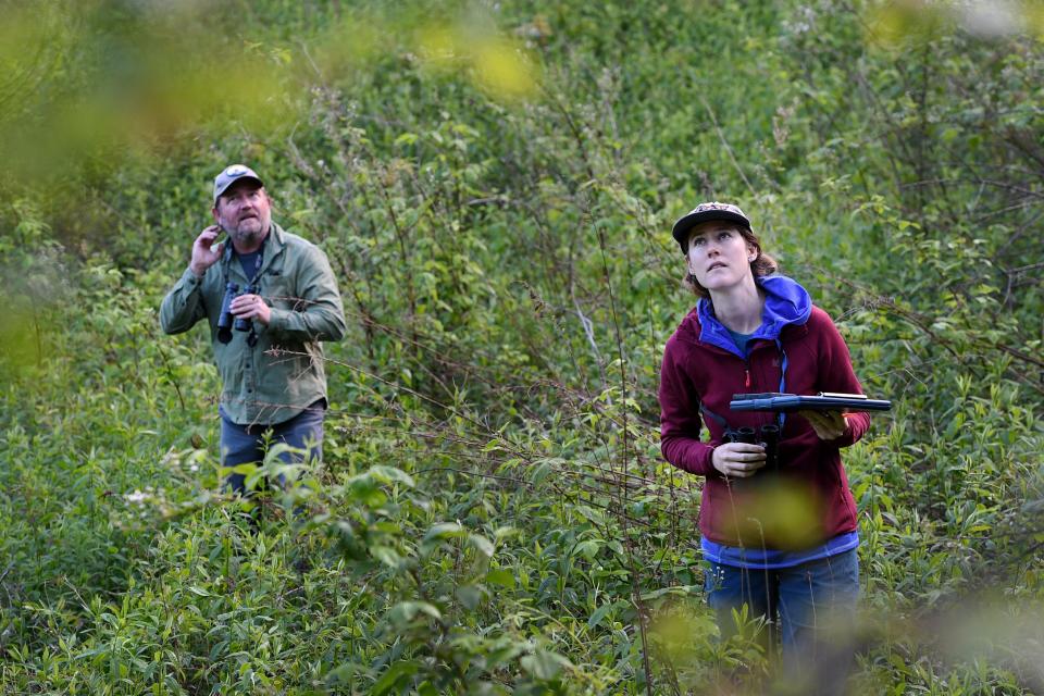 Matt Drury, left, and Avery Young, a biological science technician with the U.S. Forest Service, listen for the golden-winged warbler at Max Patch, May 21, 2024.