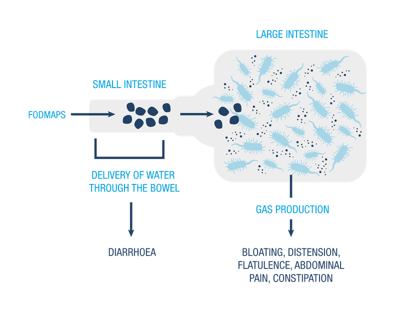 fodmap