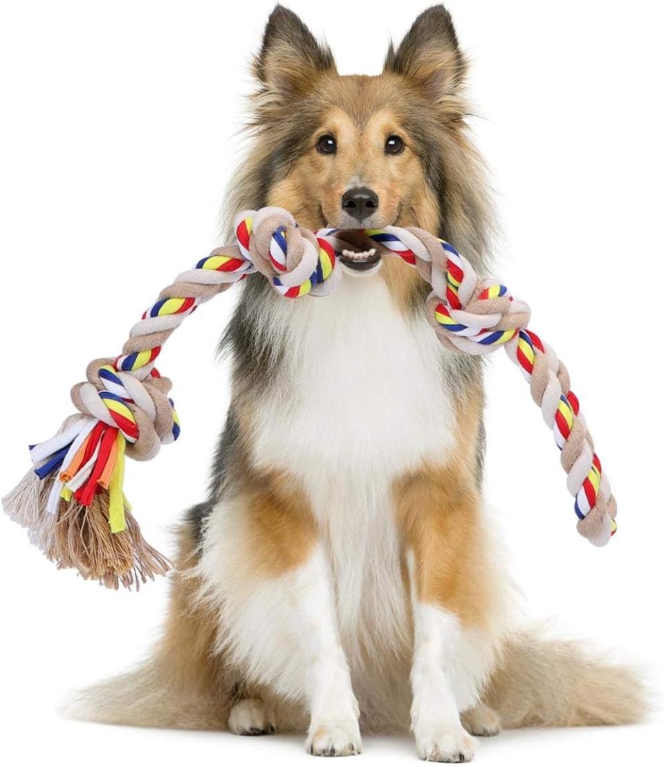 Nobleza - Hundespielzeugseil aus 100% Baumwolle