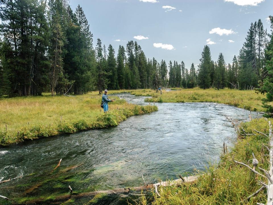 Fly fishing