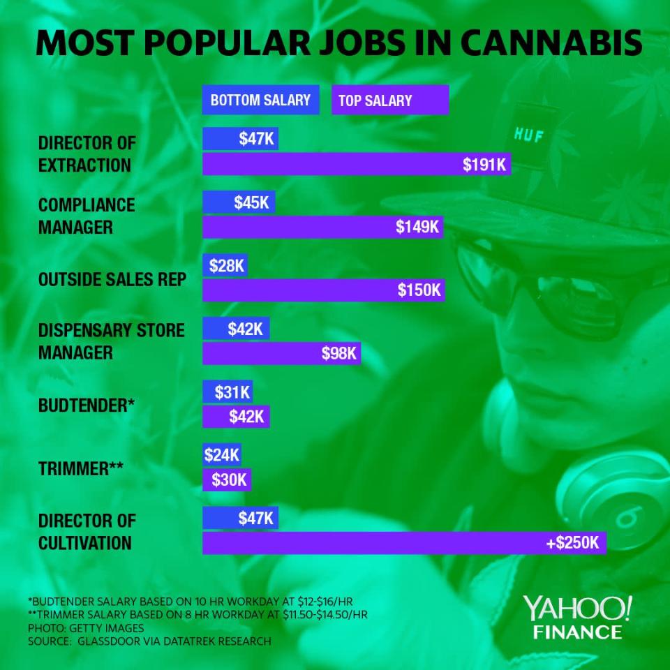 graphic showing most popular jobs in cannabis