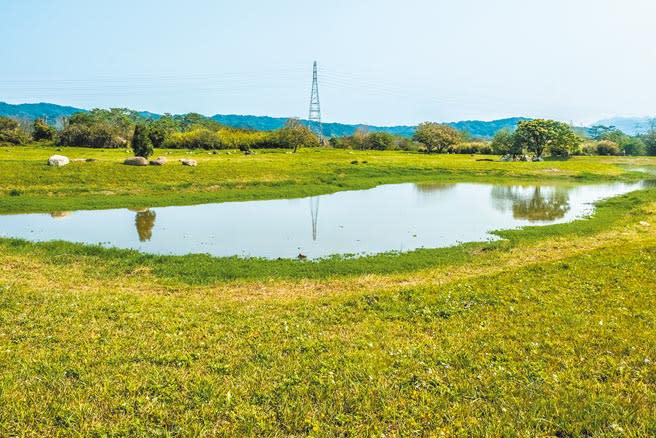 新竹縣竹東河濱公園中間第2座生態池，因最近午後雷陣雨有些積水。（羅浚濱攝）