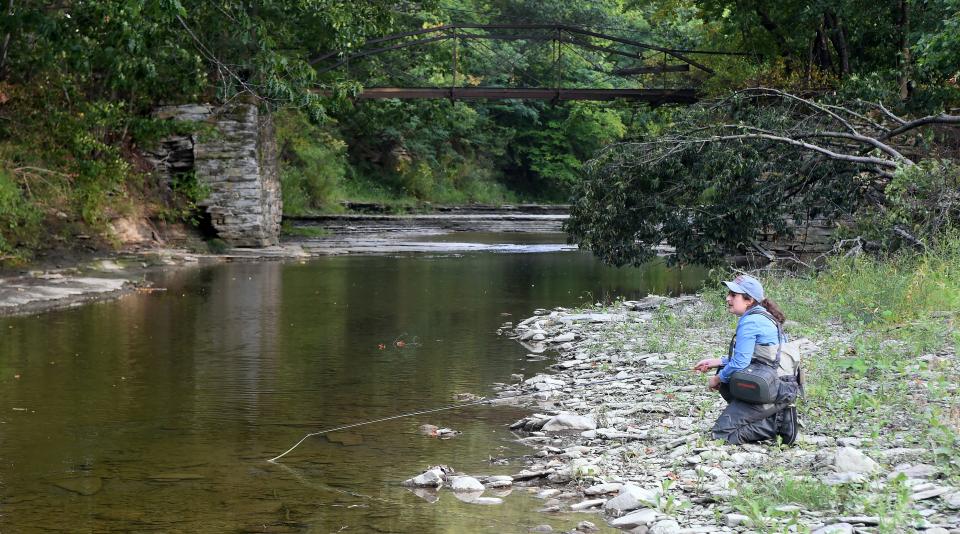Ari Capotis, a licensed Pennsylvania fishing guide, fishes the Dohler section of Twentymile Creek.