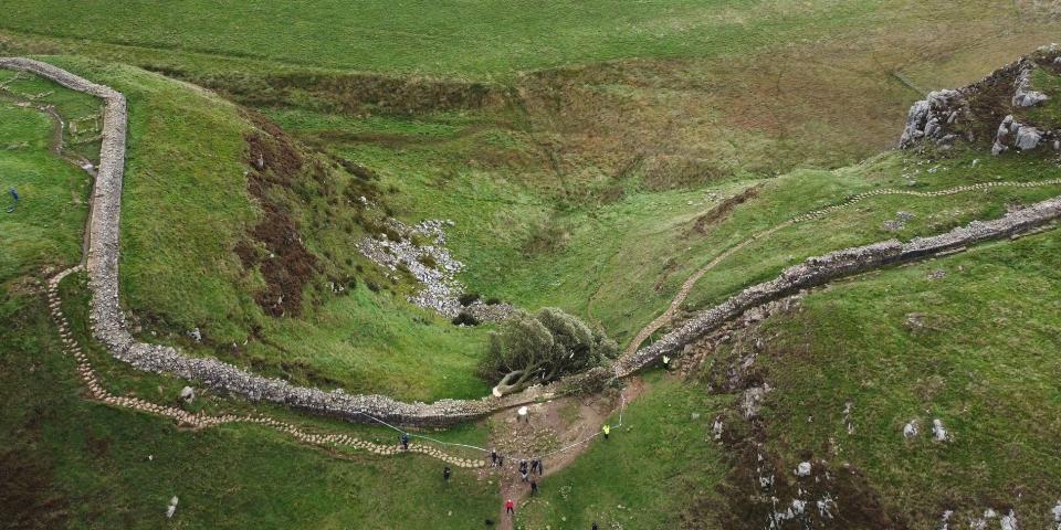 The ‘Sycamore Gap' tree lying on the ground, along Hadrian's Wall, in northeast England in an aerial photo shared on September 28, 2023.