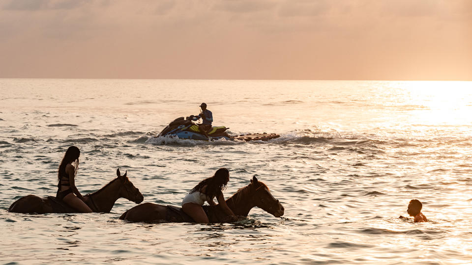 NIHI Sumba Equine Wellness Program