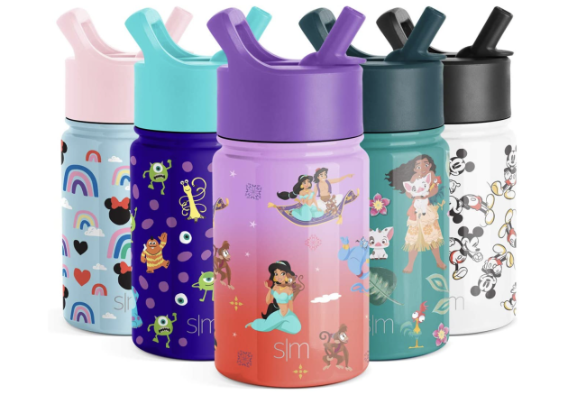 Simple Modern Disney Princesses Kids Water Bottle -Princesses