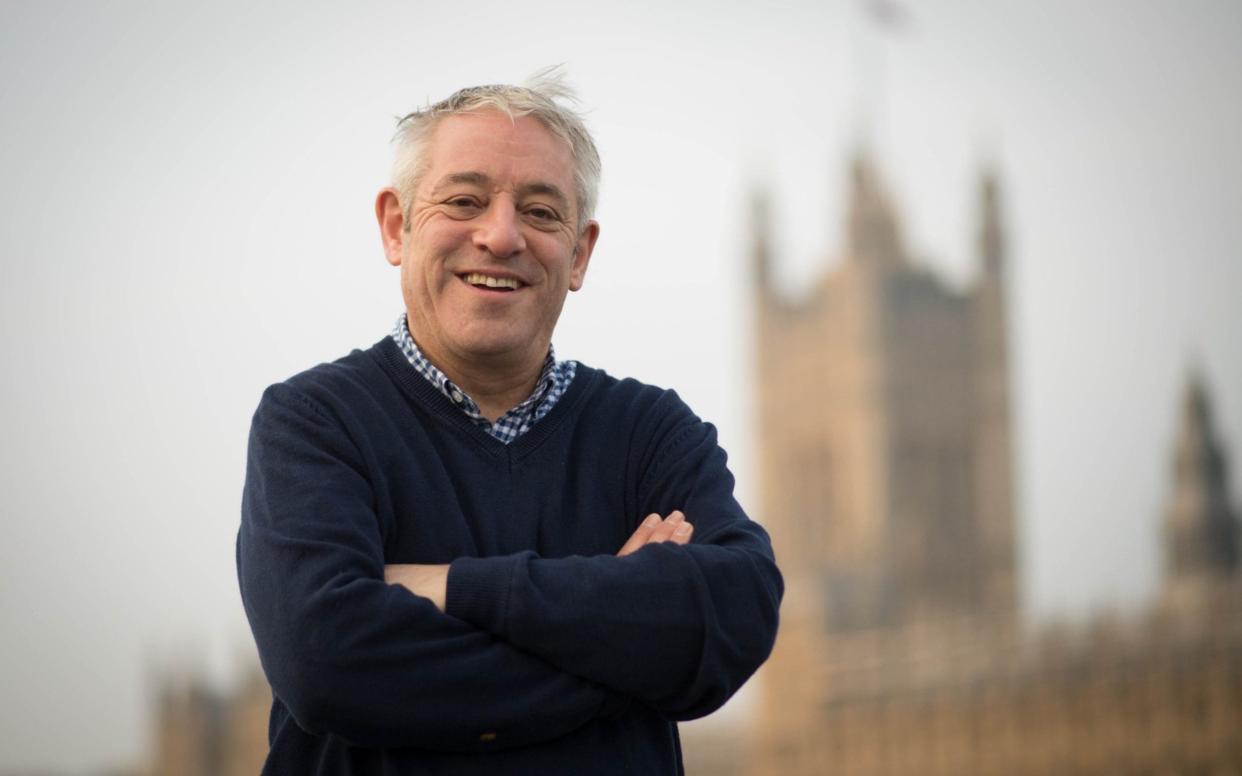 John Bercow stepped down from the Commons at last year's general election - Stefan Rousseau/PA