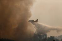 A firefighting plane dumps water on a forest fire in Chaveira
