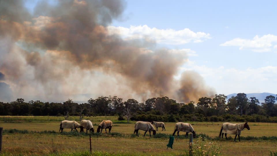 Authorities have warned Lovedale residents to take advice from firefighters on the ground. Source: AAP