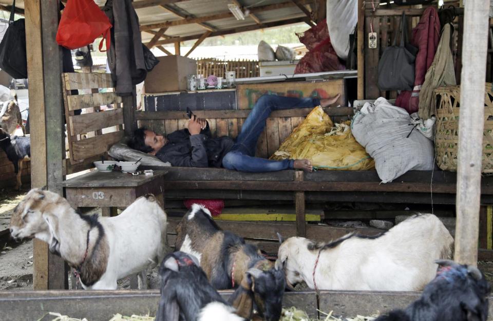 FILE - In this Tuesday, Sept. 29, 2015, file photo, a goat dealer checks his mobile phone as he waits for customers in a slum in Jakarta, Indonesia. A report on inequality in Indonesia says its four richest men now have more wealth than 100 million of the country's poorest people. (AP Photo/Tatan Syuflana, File)