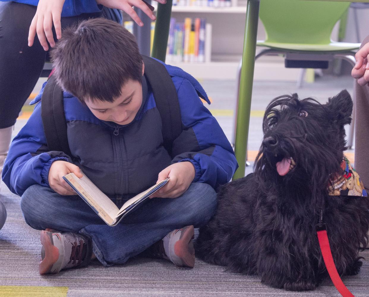 Josh Arn, 8, reads to Gibson, a Scottish terrier, during a Pups and Pages reading event at the Stark Library East Canton branch.