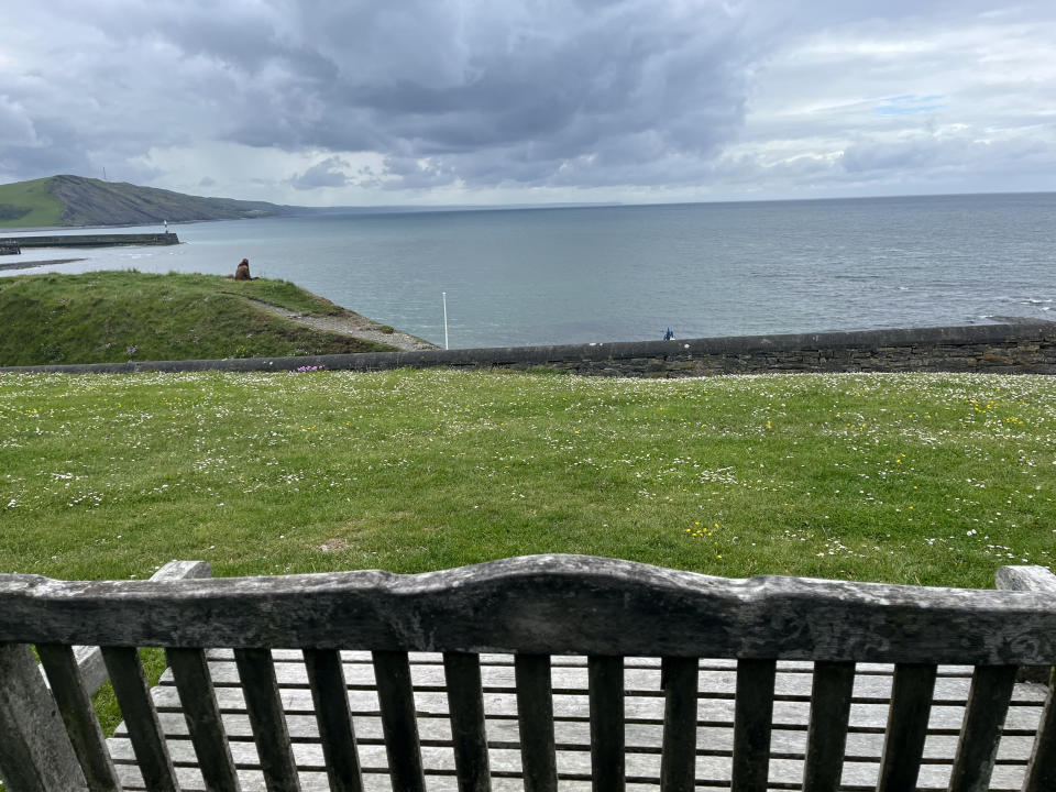 The plaque featured on a bench overlooking South Beach in Aberystwyth. (SWNS)