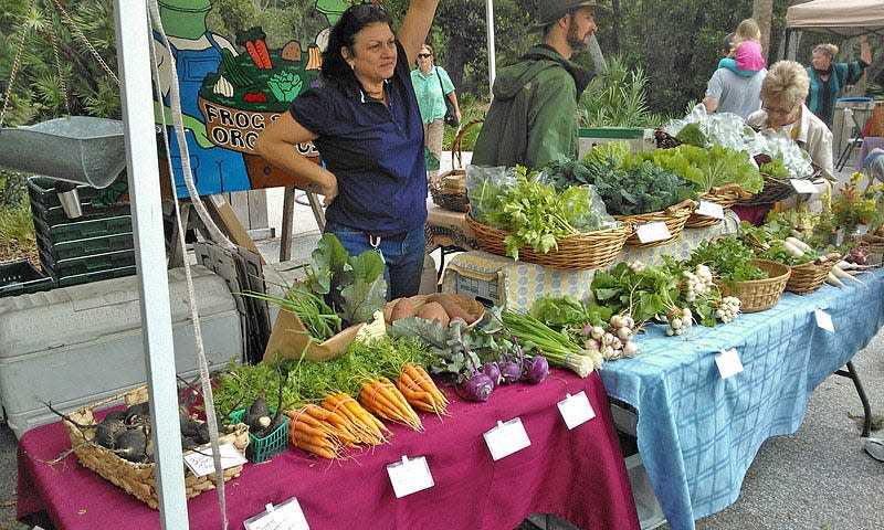 Take your pick of fresh produce Wednesday mornings at the Pier Farmers Market.